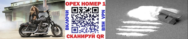 Cocaine Fish Scale  Купить где  Сатка 