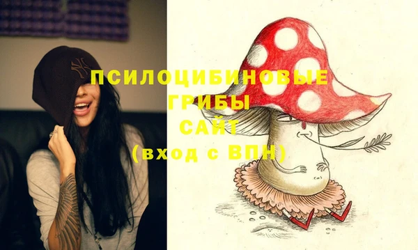 Альфа ПВП Аркадак