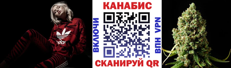 Конопля планчик  Купить  Сатка 